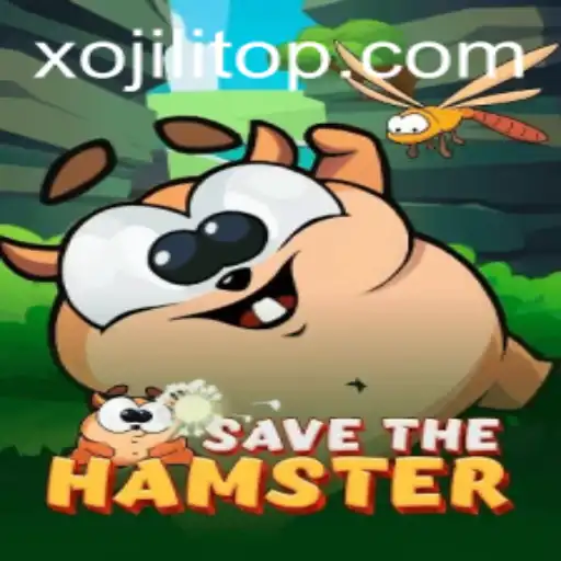 An In-Depth Look at SavetheHamster: The Exciting World of Xojili