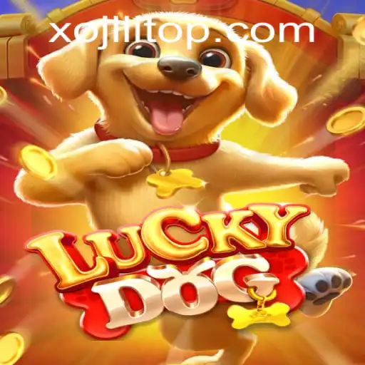 LuckyDog: Unleashing the Excitement with Xojili